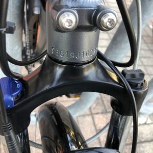 2019 Rad Power Bikes RadCity Silver, gray or bare metal