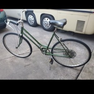 Schwinn Green