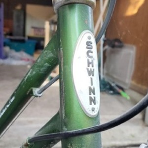 Schwinn Green