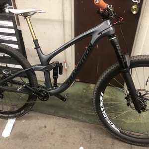 2019 Transition Bikes Sentinel Silver, gray or bare metal