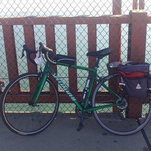 2021 Specialized Allez Green