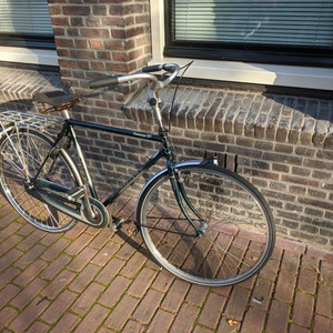 Batavus Traversa Stickers tape or other cover-up