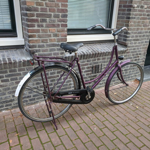 Batavus Old Dutch Stickers tape or other cover-up