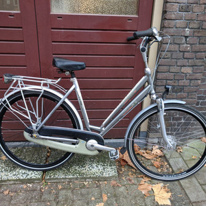 Gazelle Chamonix Silver, gray or bare metal