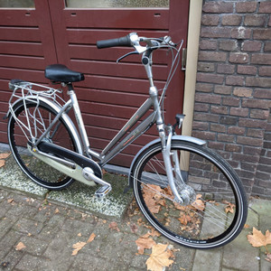 Gazelle Chamonix Silver, gray or bare metal