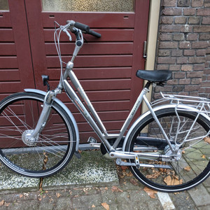 Gazelle Chamonix Silver, gray or bare metal