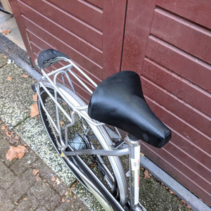 Gazelle Chamonix Silver, gray or bare metal