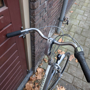 Gazelle Chamonix Silver, gray or bare metal