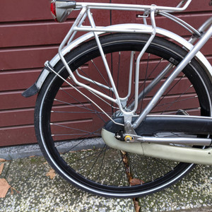 Gazelle Chamonix Silver, gray or bare metal