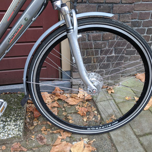 Gazelle Chamonix Silver, gray or bare metal