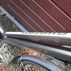 Gazelle Chamonix Silver, gray or bare metal