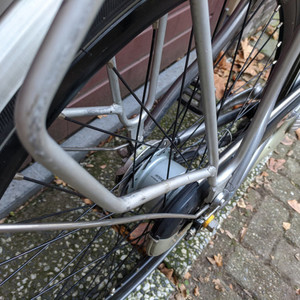 Gazelle Chamonix Silver, gray or bare metal