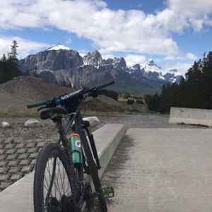 Specialized Crosstrail Black