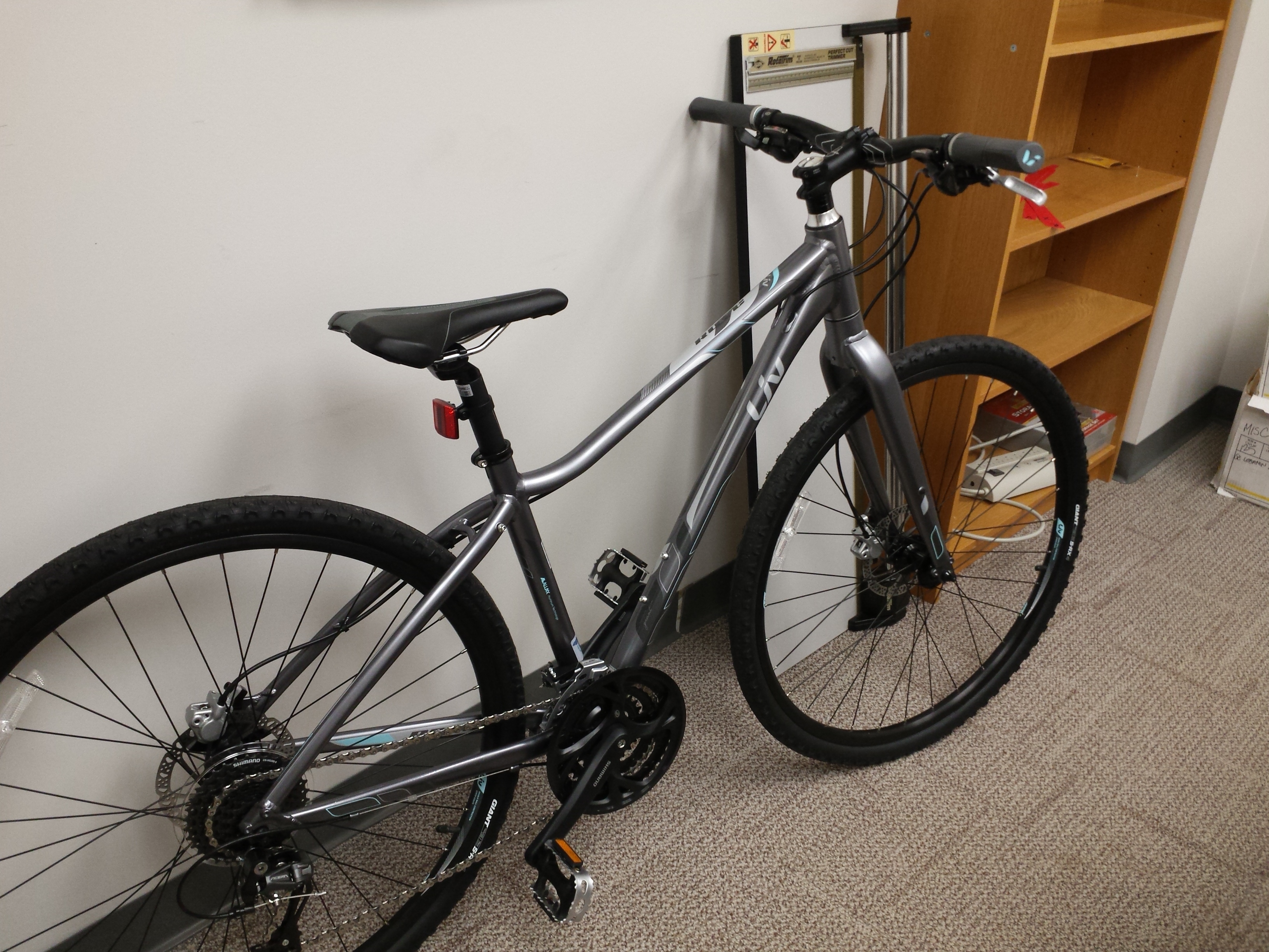 giant rove 1
