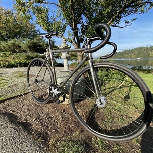 2021 Mash Silver smoke Silver, gray or bare metal