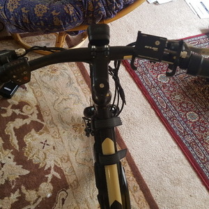 2020 Rad Power Bikes RadMission 1 Black and Brown