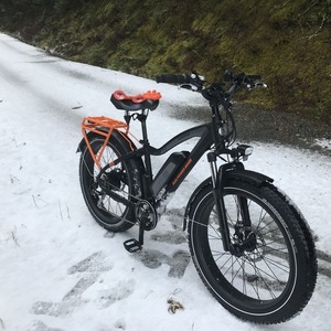 2019 Rad Power Bikes Rad Rover Black