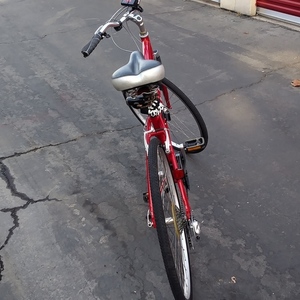 2020 Fuji Crosstown 1.0 Red