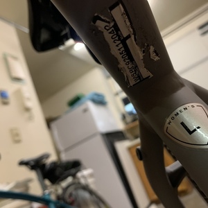 2020 Specialized Ariel Elite Silver, gray or bare metal