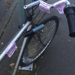 Specialized Crossroads Silver, gray or bare metal
