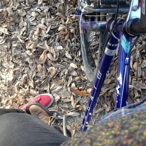Miyata Triplecross Purple