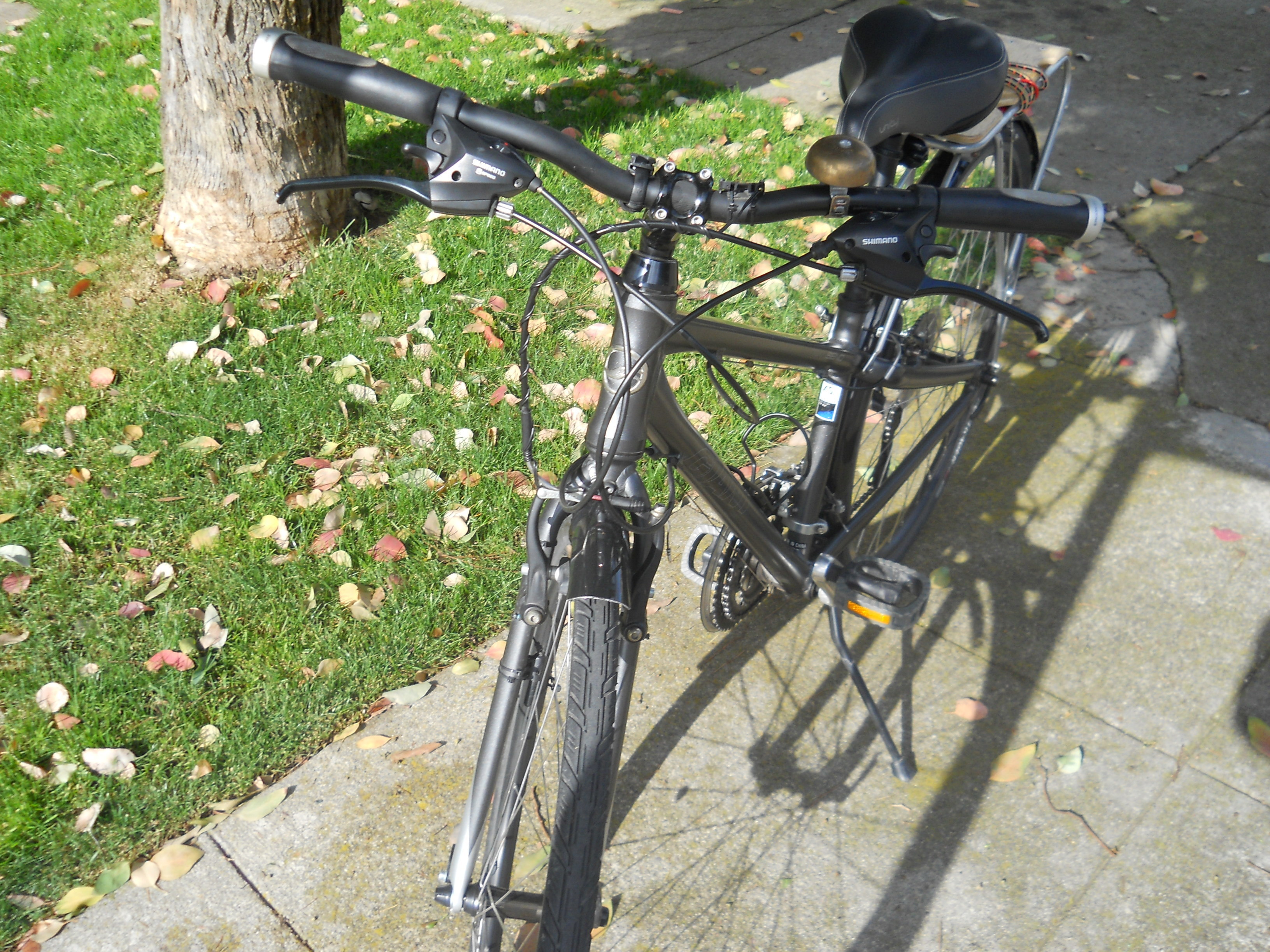 2008 Giant TranSend DX