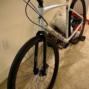 2020 Specialized Sirrus X 2.0 Silver, gray or bare metal