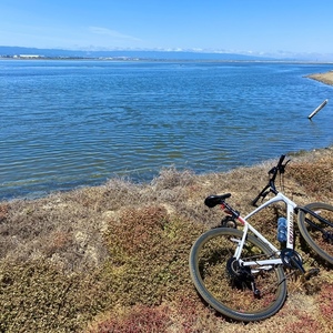 2020 Specialized Sirrus X 2.0 Silver, gray or bare metal