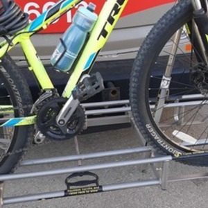 Trek Green