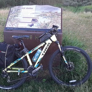 Trek Green