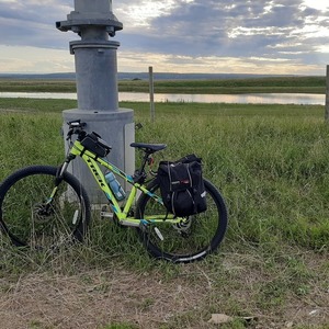 Trek Green