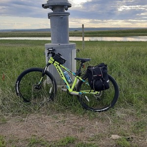 Trek Green