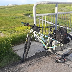 Trek Green