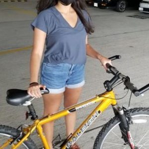 2003 Raleigh M80 Yellow or Gold and Silver, gray or bare metal