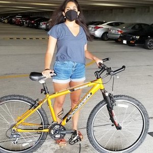 2003 Raleigh M80 Yellow or Gold and Silver, gray or bare metal