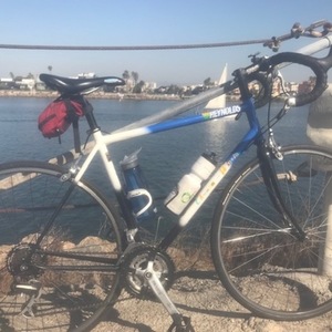 CHUMBA Racing Reynolds 531 or 537 Blue