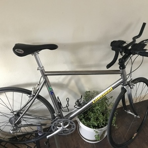 2001 Litespeed Ultimate Silver, gray or bare metal