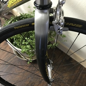 2001 Litespeed Ultimate Silver, gray or bare metal