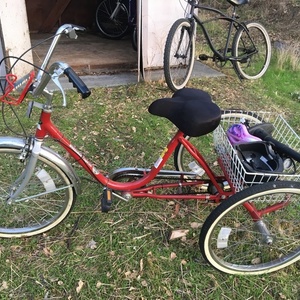 Worksman Cycles Eagle Light Red