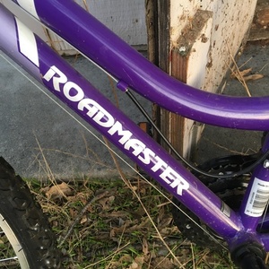 2018 Roadmaster Granite Peak Purple