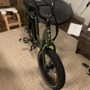 2020 Rad Power Bikes RadRunner 1 Green