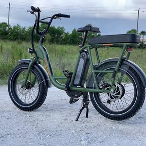 2020 Rad Power Bikes RadRunner 1 Green