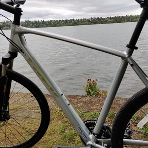 2020 Trek Silver, gray or bare metal