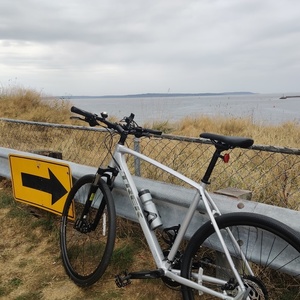 2020 Trek Silver, gray or bare metal