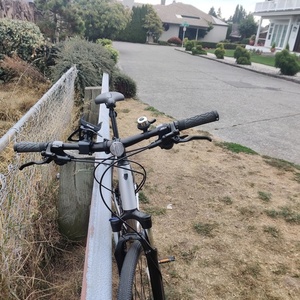 2020 Trek Silver, gray or bare metal