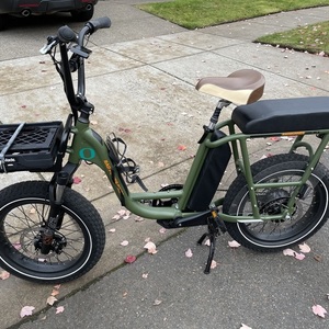 2020 Rad Power Bikes Rad Runner Green