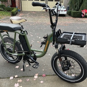 2020 Rad Power Bikes Rad Runner Green