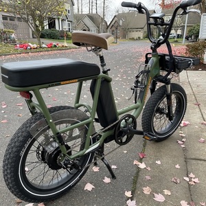 2020 Rad Power Bikes Rad Runner Green