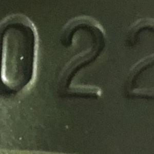 2020 Rad Power Bikes Rad Runner Green