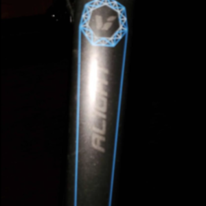 2020 Liv Alight 2 DD Black